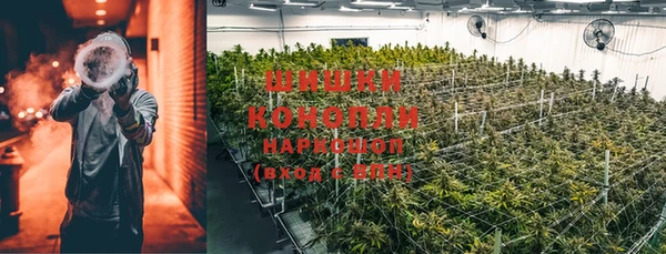 кокс Козельск