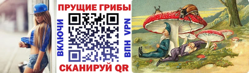 где можно купить наркотик Карталы Галлюциногенные грибы мицелий